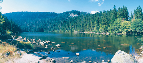 Der Böhmerwald (tschechisch: Šumava) ist Biosphärenreservat und als Nationalpark eingestuft.